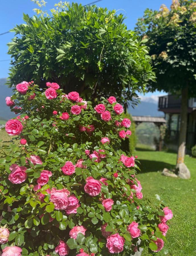 شقة Haus Schwaighof ارزل ام بيتزتال المظهر الخارجي الصورة